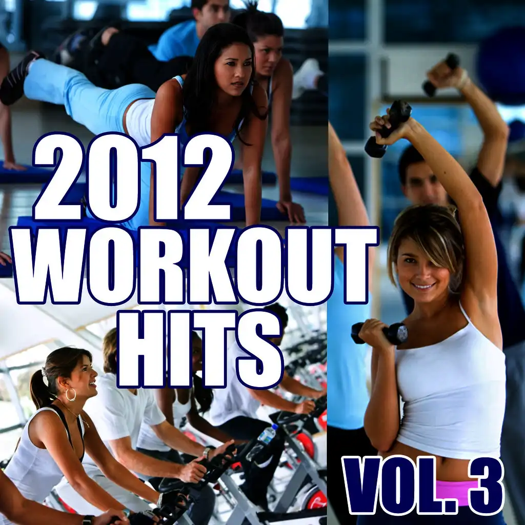 2012 Workout Hits, Vol. 3