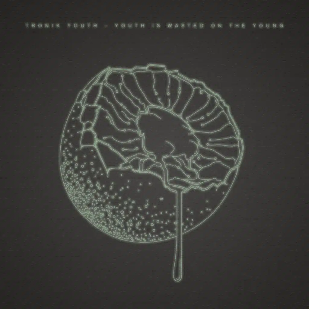 Youth Is Wasted On The Young