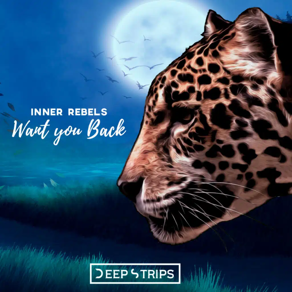 Want You Back (Kevin Karlson Remix)