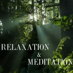 Relaxation and Meditation