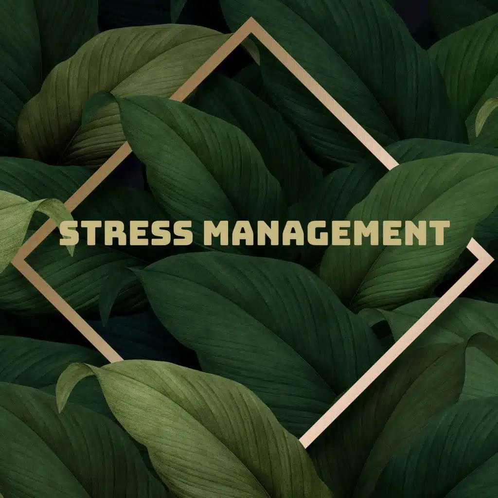 Stress Management: Release Tension, Chakra Healing Visualization, Reiki Therapy, Stay Positive, Muscle Relaxation