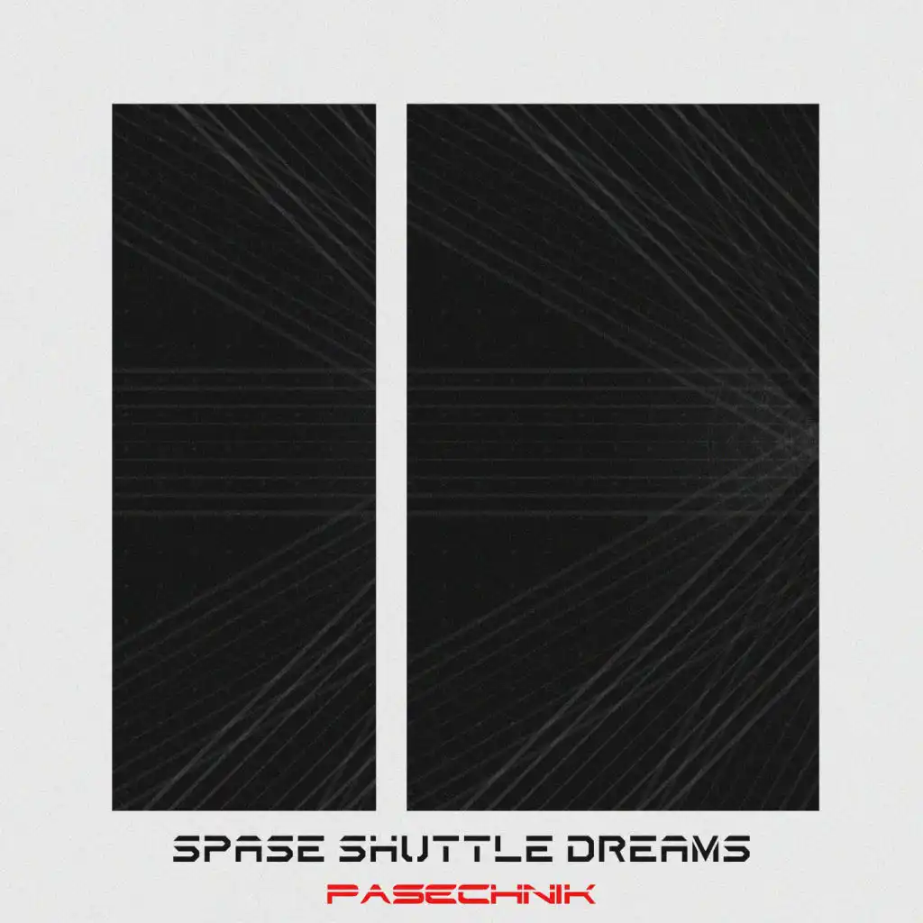 Spase Shuttle Dreams