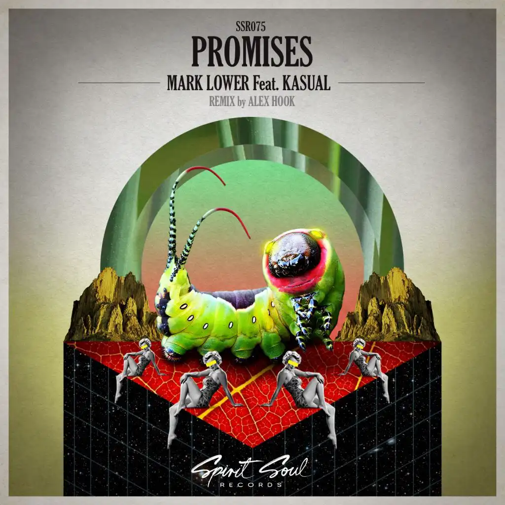 Promises (Alex Hook Remix) [feat. Kasual]