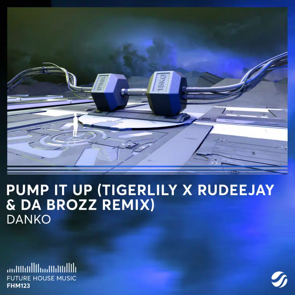 Pump It Up (Tigerlily, Rudeejay, Da Brozz Remix)