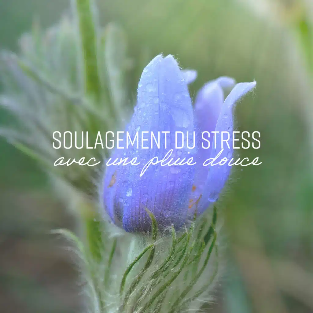 Tout simplement relaxant