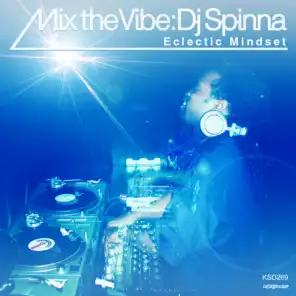 Mix The Vibe: Eclectic Mindset (Continuous DJ Mix)