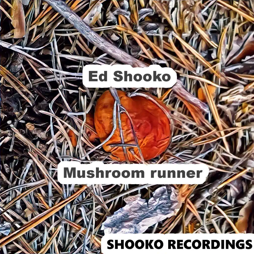 Ed Shooko