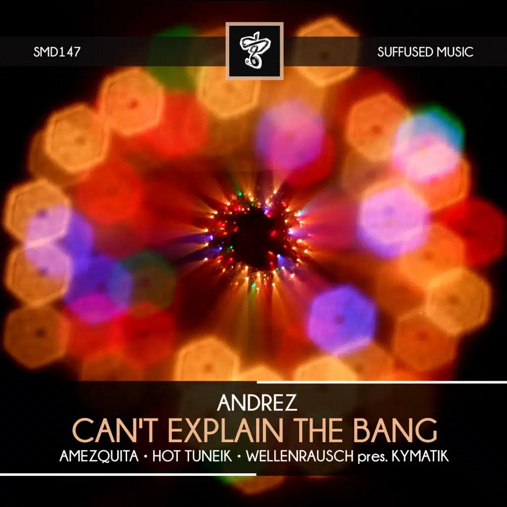 Can't Explain the Bang (feat. Hot TuneiK & Wellenrausch)