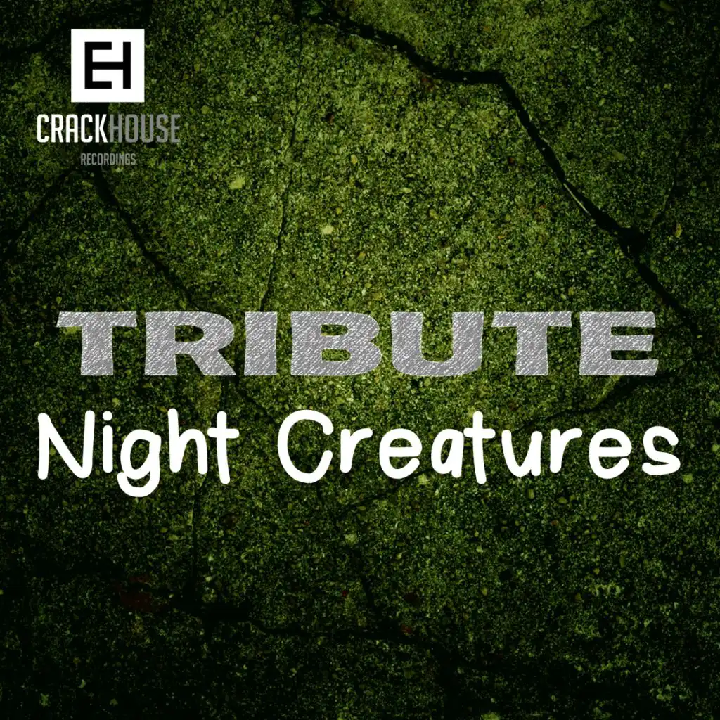 Tribute To Night Creatures