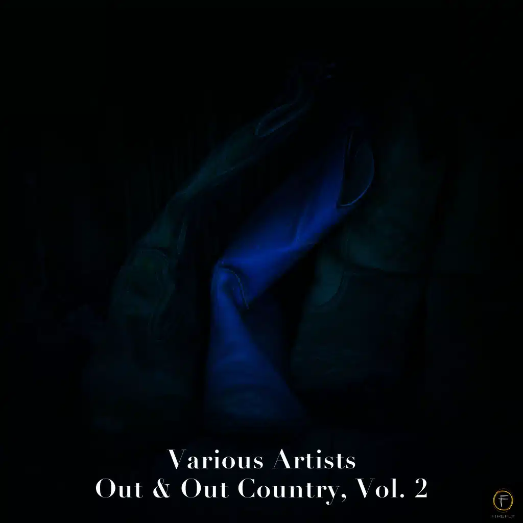 Out & Out Country, Vol. 2