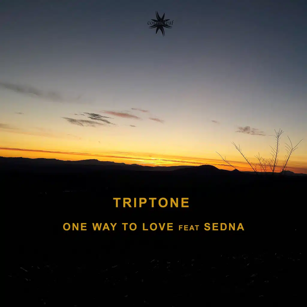 One Way to Love (feat. Sedna)