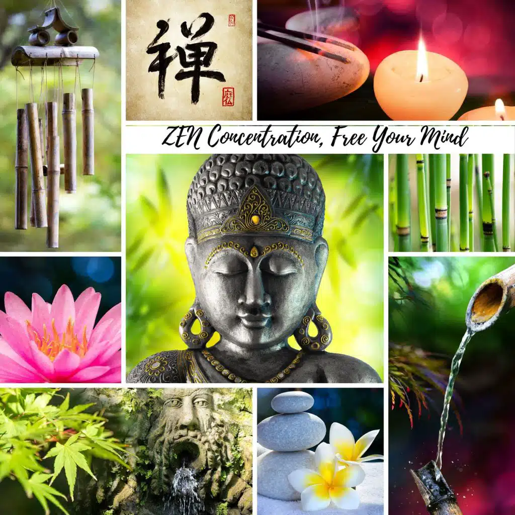 ZEN Concentration, Free Your Mind: Chakra Meditation, Spirituality, Mindfulness Therapy, Spa Treatment