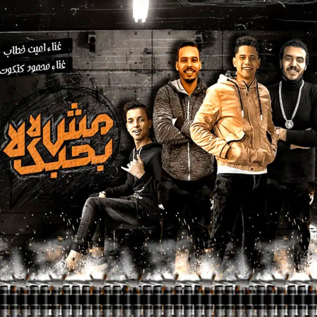 مش بحبك لا لا