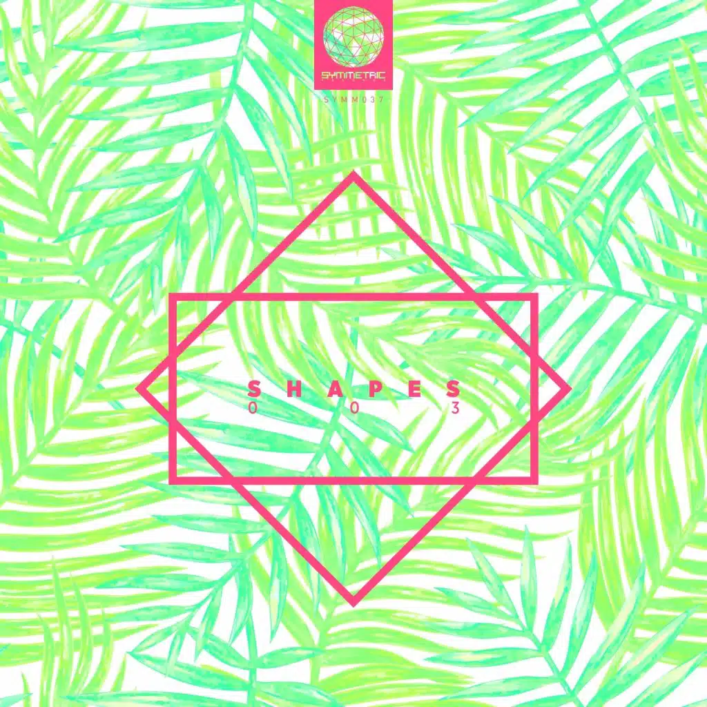 Following Light, Ilya Gerus