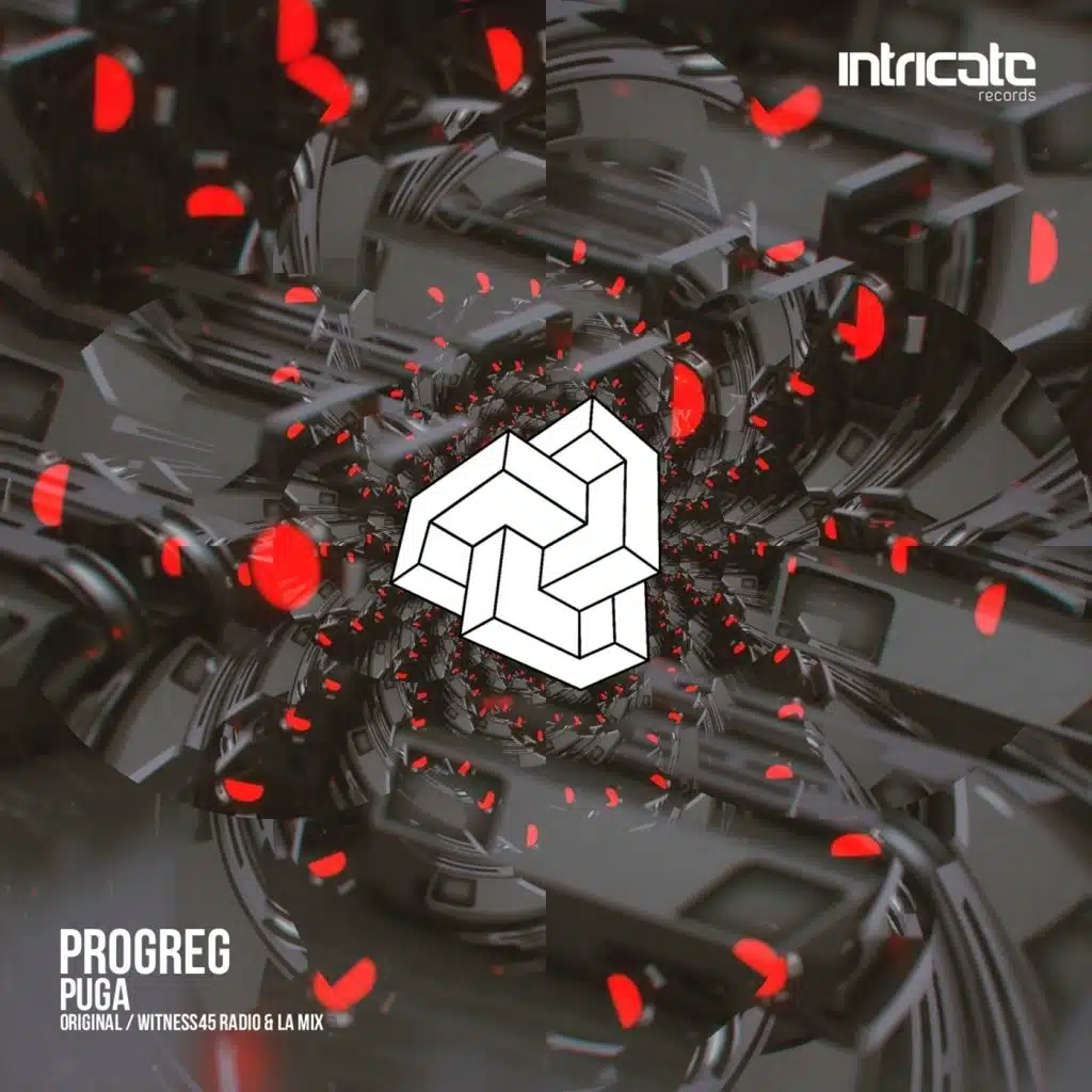 Puga (Witness45 Radio Mix)