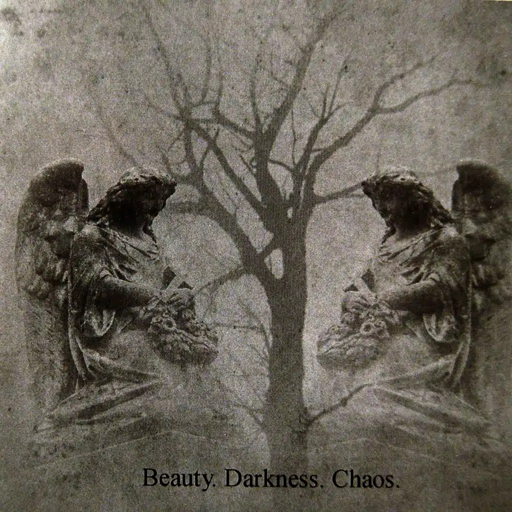 Beauty.Darkness.Chaos.
