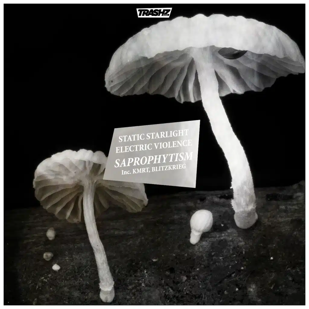 Saprophytism & Lunar Violence (feat. Electric Violence)