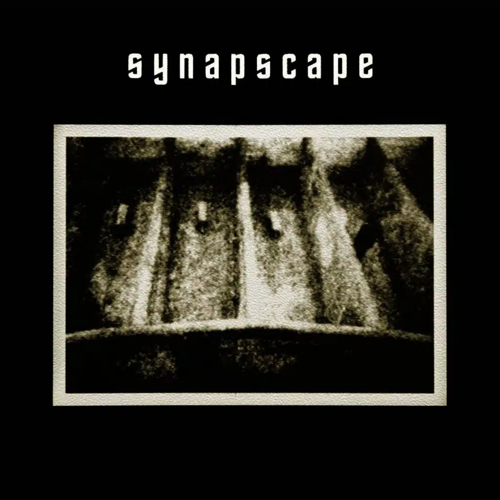 Synapscape