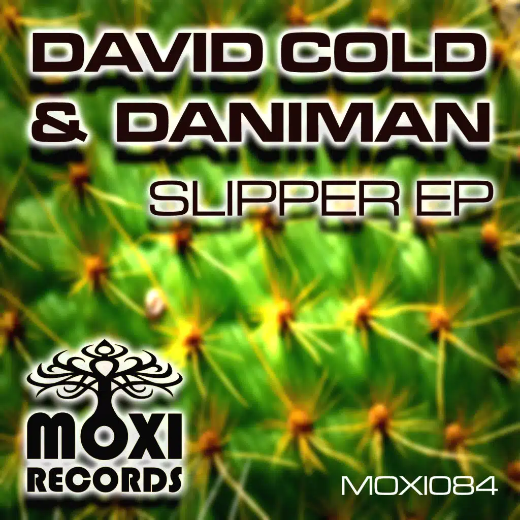 David Cold And Daniman
