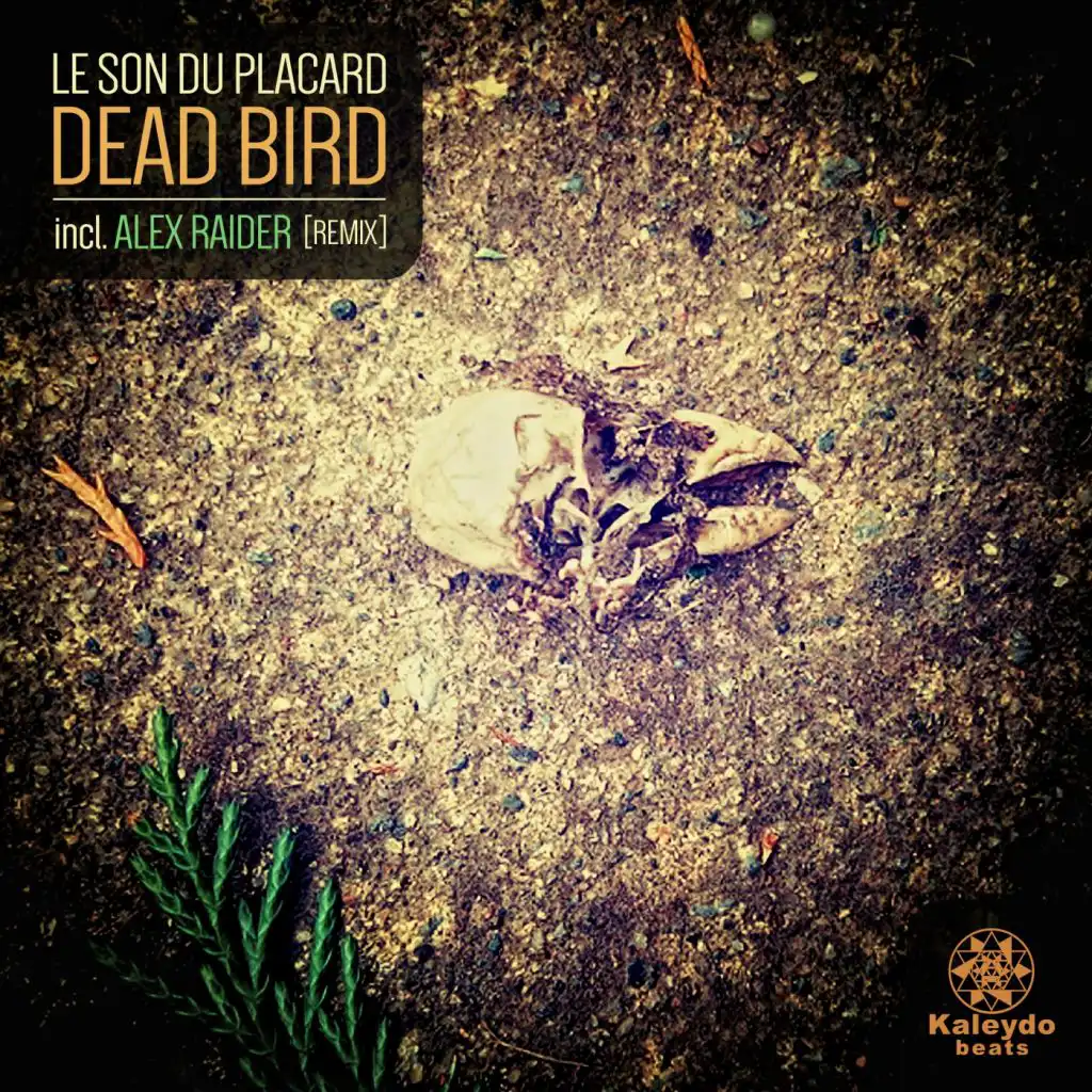 Dead Bird