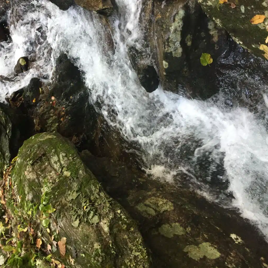 Live at New Rootz 05/08/2018