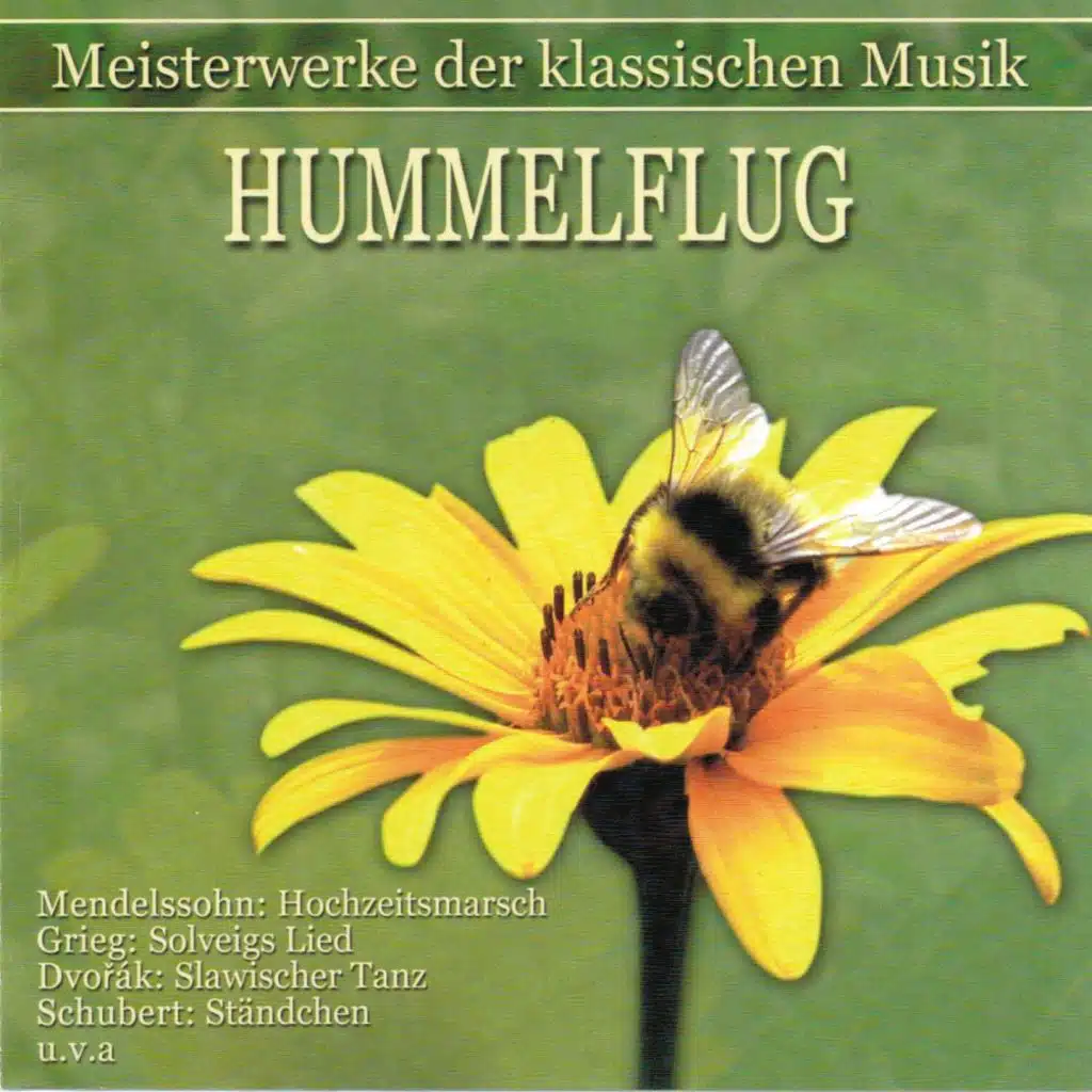 Budapesti Vonósok Kamarazenekar