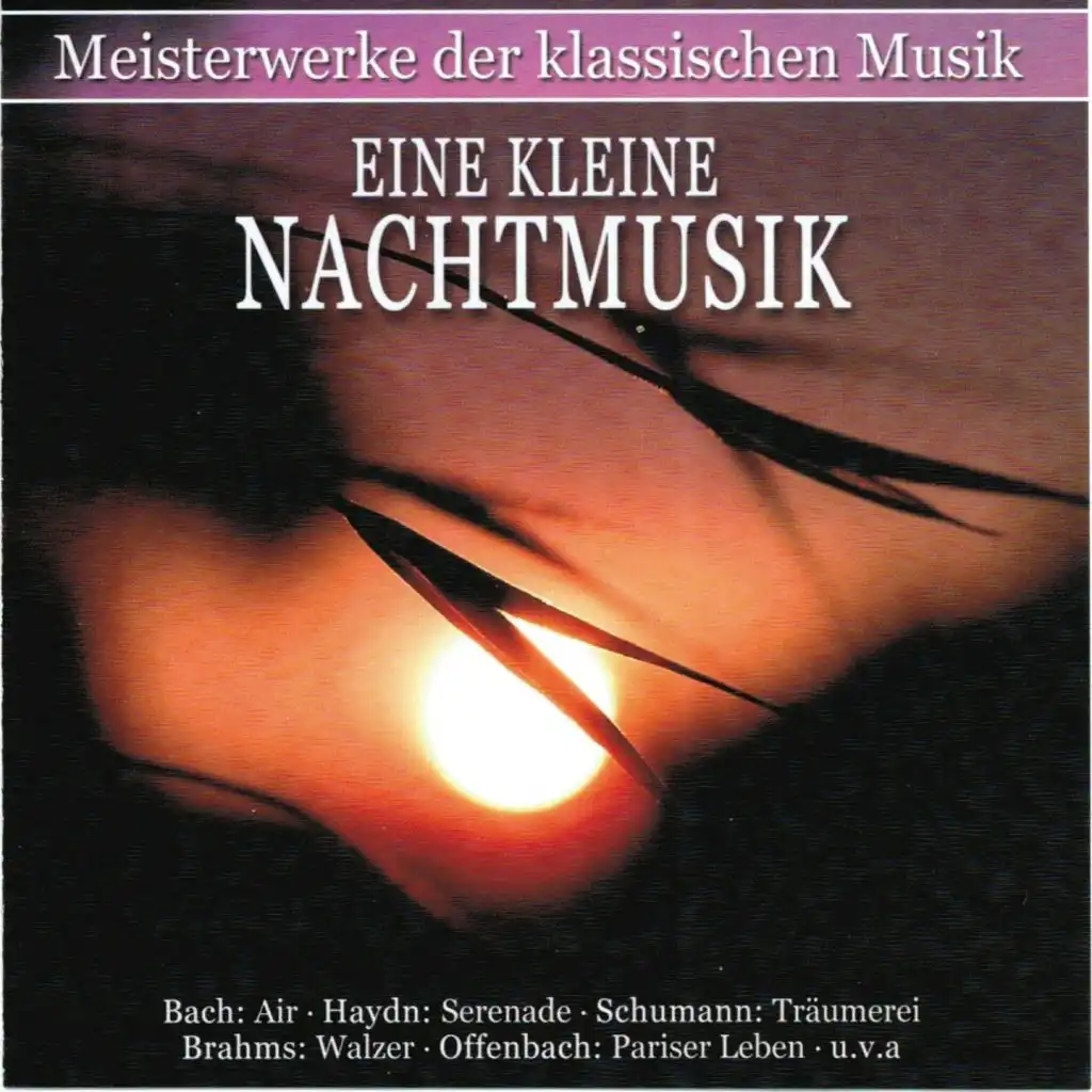 Neues Bachisches Collegium Musicum, Max Pommer