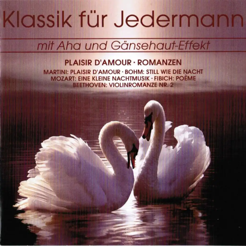 Franz-Liszt Kammerorchester, Janos Rolla