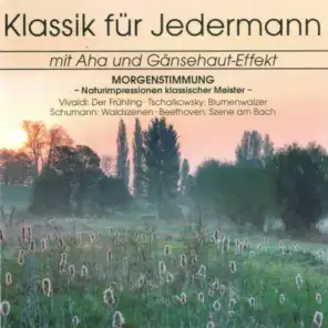 Die vier Jahreszeiten, Op. 8, Concerto No. 1 in E Major, RV 269 "Der Frühling": I. Allegro