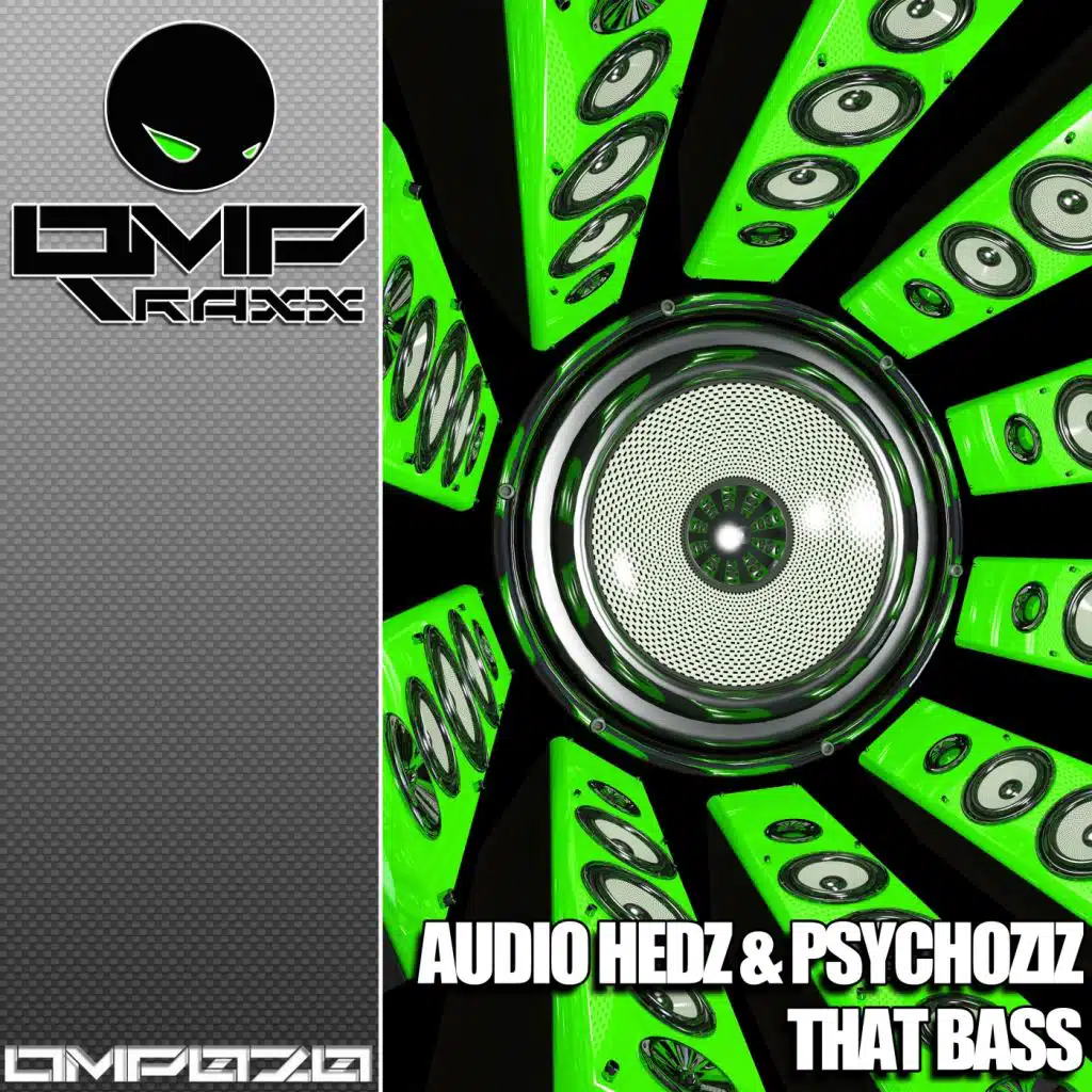 Audio Hedz & Psychoziz