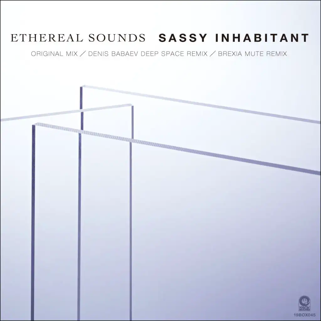 Sassy Inhabitant (Denis Babaev Deep Space Remix)