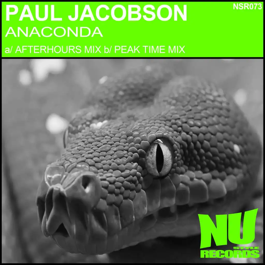 Anaconda (PJ Afterhours Mix)