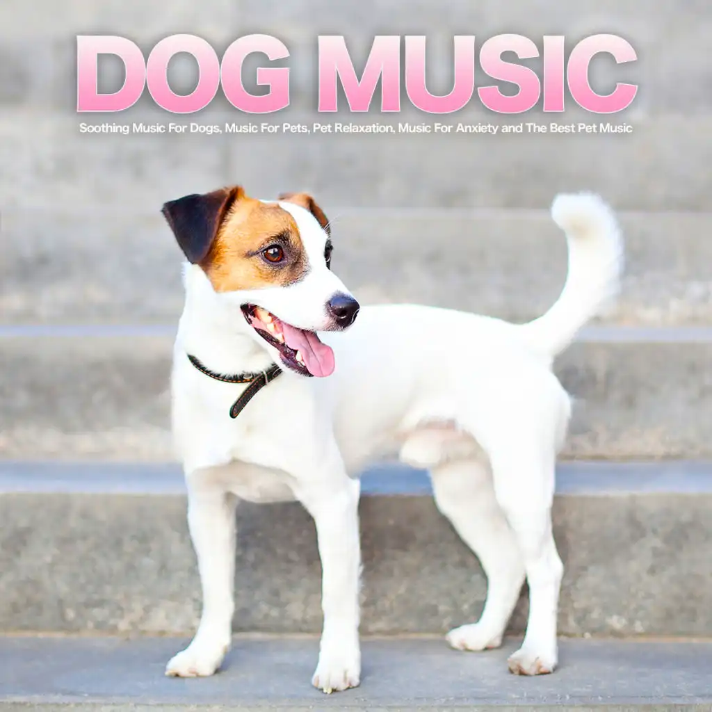 Dog Music: Soothing Music For Dogs, Music For Pets, Pet Relaxation, Music For Anxiety and The Best Pet Music