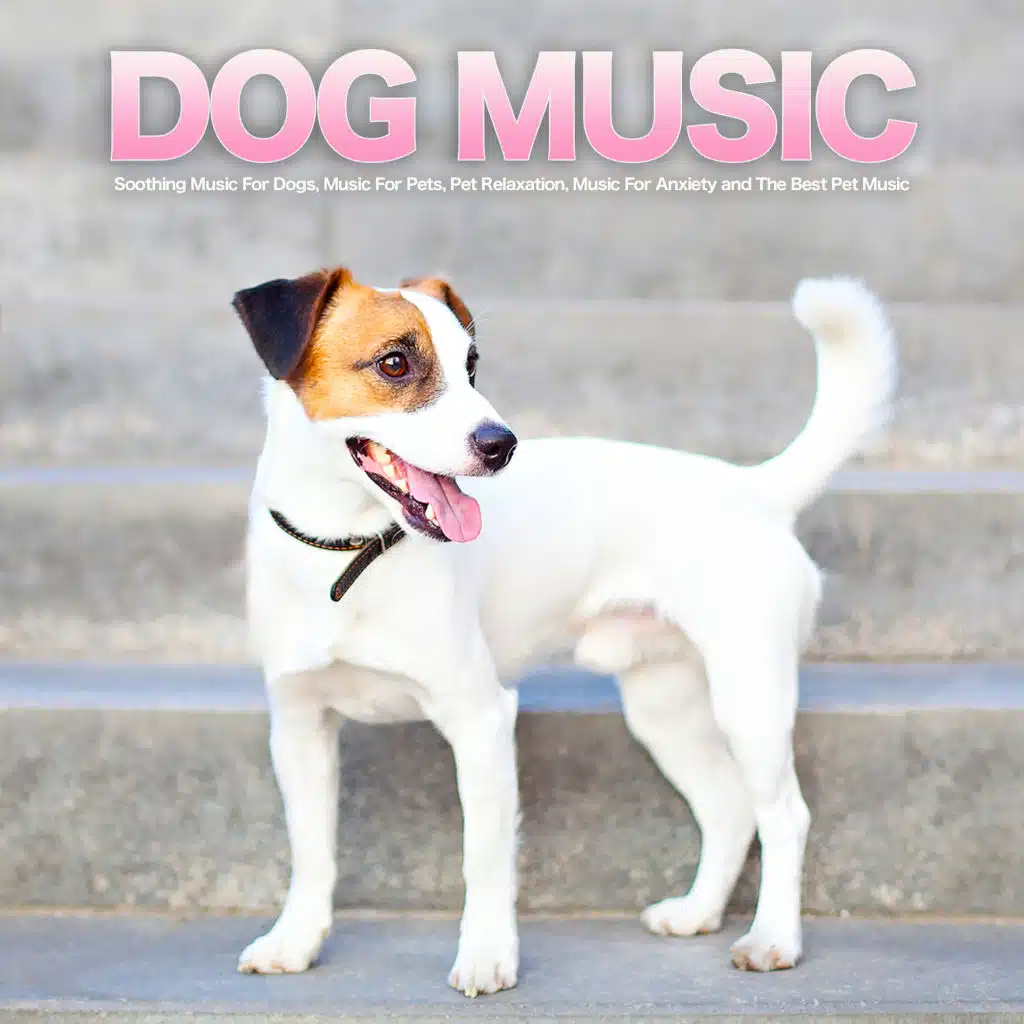 Calm Music For Pets
