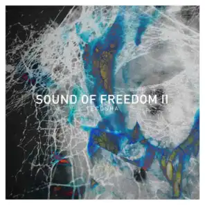 Sound of Freedom II