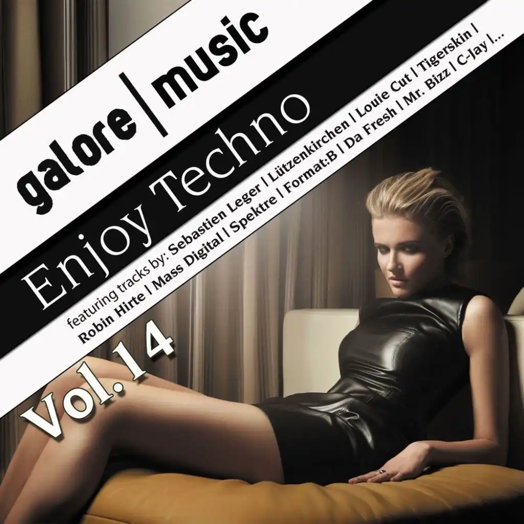 Enjoy Techno, Vol. 14