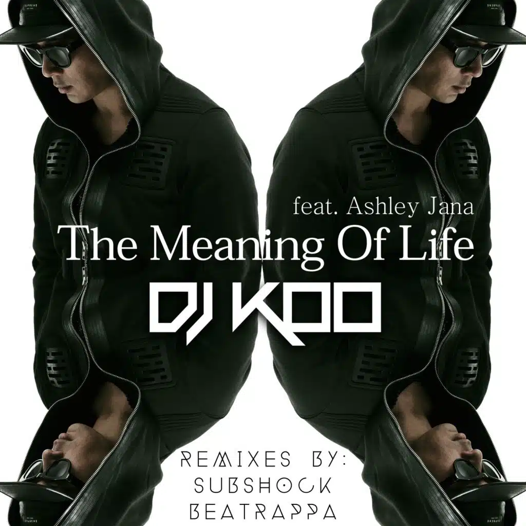 The Meaning Of Life (feat. Ashley Jana)