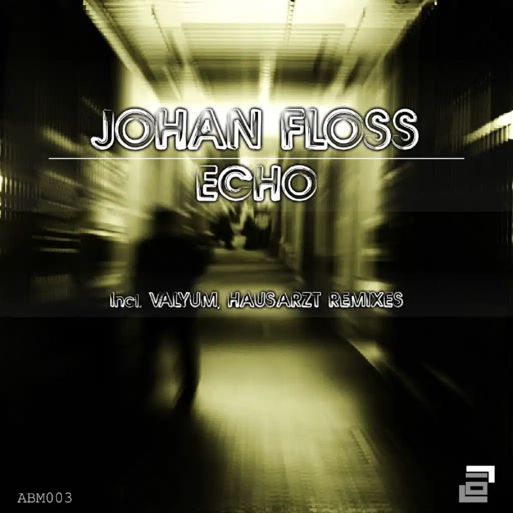 Echo (Hausarzt Remix)