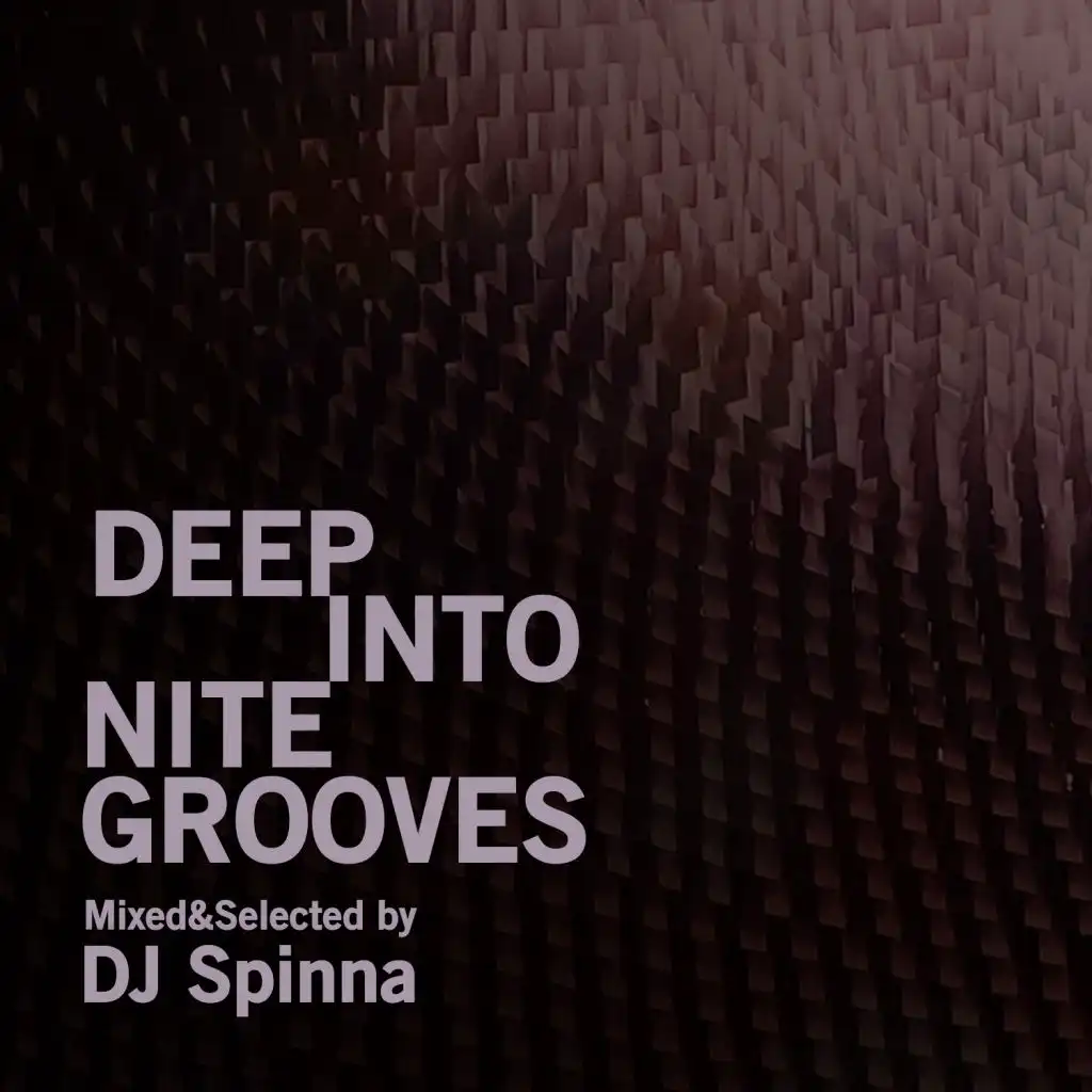 Deep Into Nite Grooves (DJ Mix)