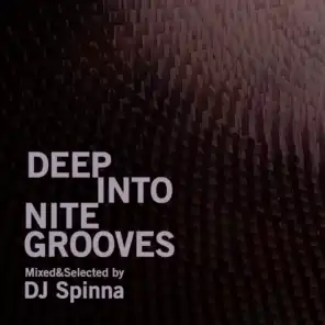 Deep Into Nite Grooves (DJ Mix)