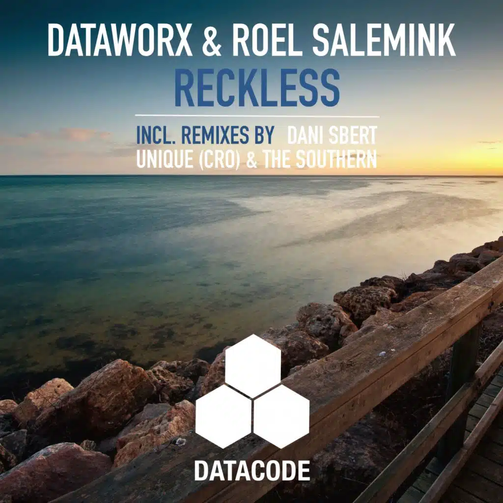 Dataworx & Roel Salemink