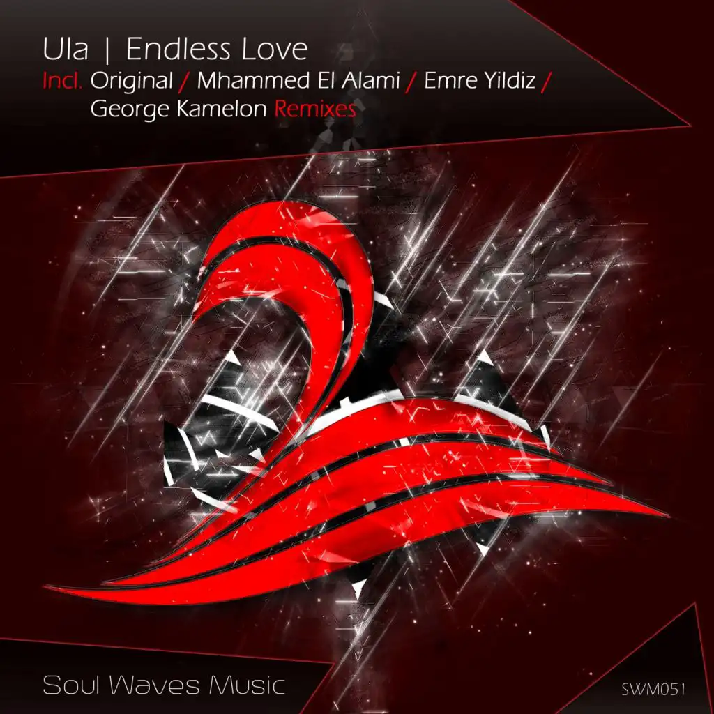 Endless Love (Mhammed El Alami Remix)