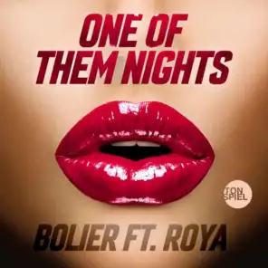One of Them Nights (Blr Remix) [feat. Roya]