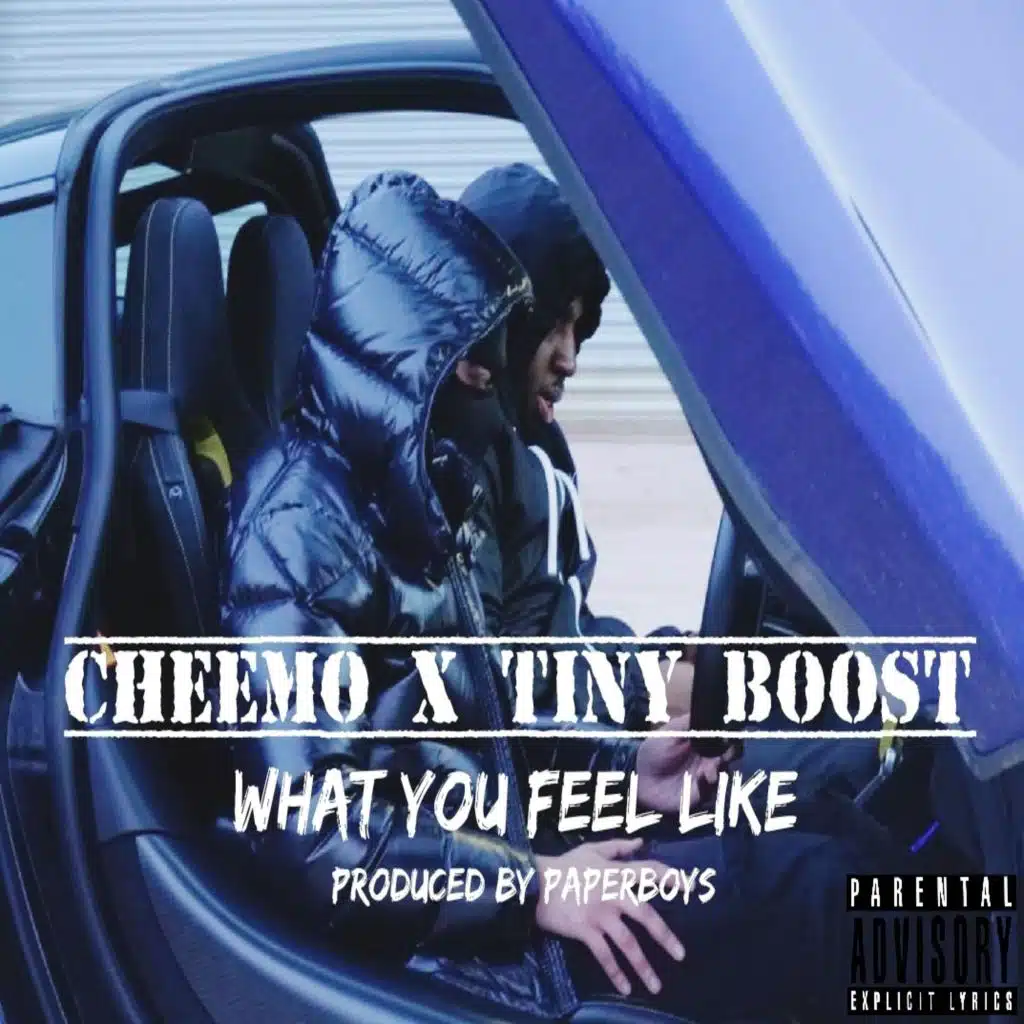 What You Feel Like (feat. Paperboys & Tiny Boost)