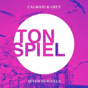 Seven Seagulls (Extended Mix)