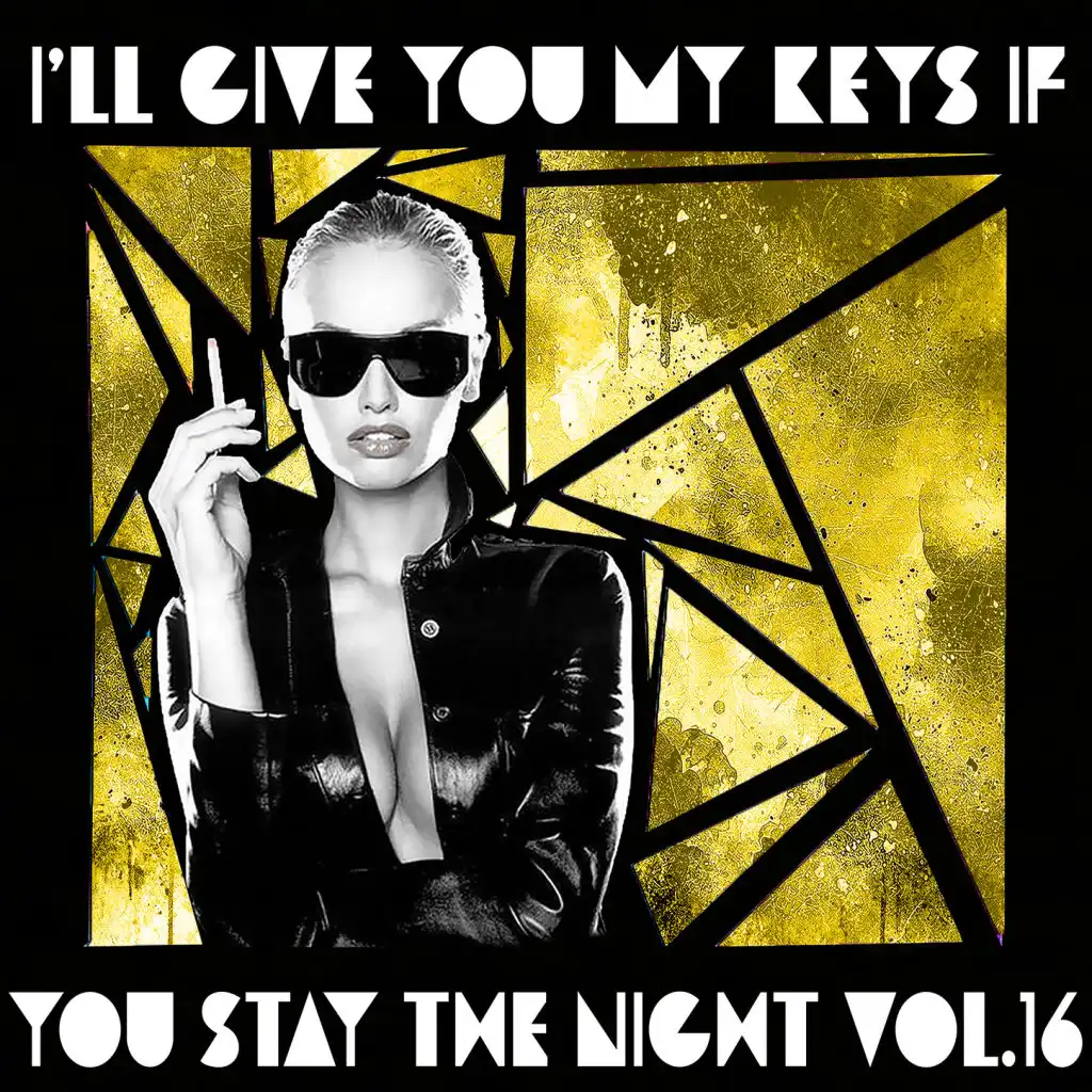I'll Give You My Keys If You Stay The Night, Vol. 16