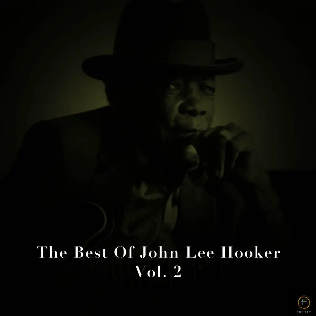 The Best of John Lee Hooker, Vol. 2