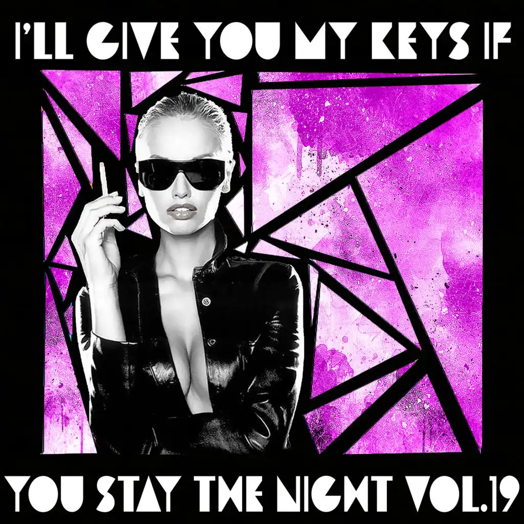 I'll Give You My Keys If You Stay The Night, Vol. 19