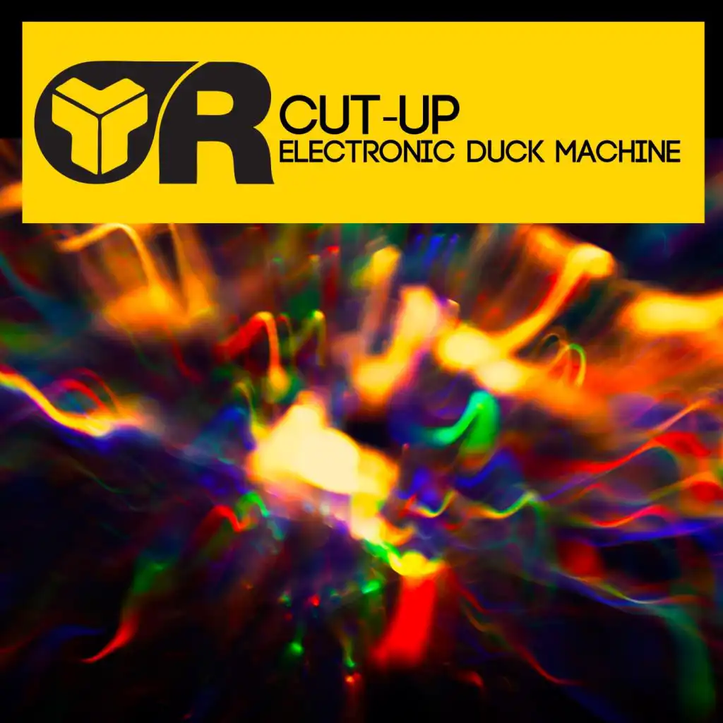 Electronic Duck Machine