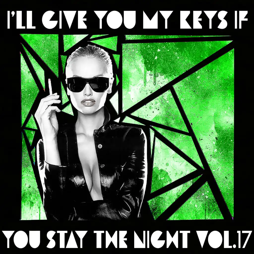 I'll Give You My Keys If You Stay The Night, Vol. 17